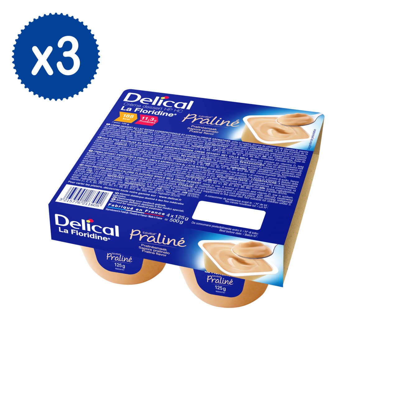 Delical La Floridine Crème Dessert Pralina 12 x 125g